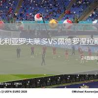 比利亞羅夫萊多VS佩德羅涅拉斯
