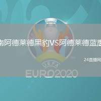 南阿德萊德黑豹VS阿德萊德藍鷹
