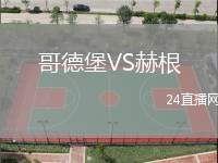 哥德堡VS赫根