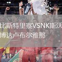 比斯特里察VSNK斯沃博達盧布爾雅那