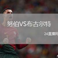 努伯VS布古爾特