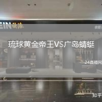 琉球黃金帝王VS廣島蜻蜓