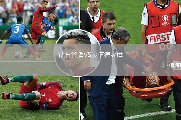 鉆石谷鷹VS靈伍德老鷹
