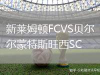 新萊姆頓FCVS貝爾蒙特斯旺西SC
