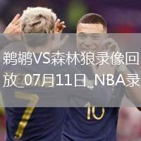 NBA夏季聯(lián)賽鵜鶘91-98森林狼
