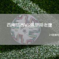 西南駭客VS佩里湖老鷹