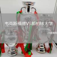 韋克斯福德VS都柏林大學