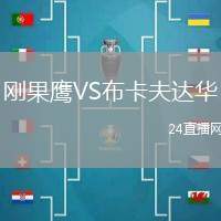 剛果鷹VS布卡夫達華