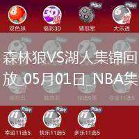 05月01日NBA季后賽西部首輪G5 森林狼 - 湖人 精彩鏡頭