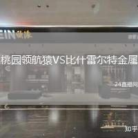 桃園領航猿VS比什雷爾特金屬