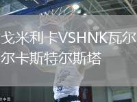 戈米利卡VSHNK瓦爾卡斯特爾斯塔