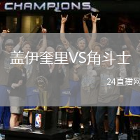 蓋伊奎里VS角斗士