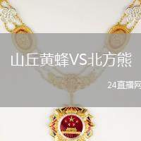 山丘黃蜂VS北方熊