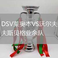 DSV萊奧本VS沃爾夫斯貝格業余隊