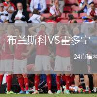 布蘭斯科VS霍多寧