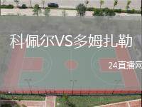 科佩爾VS多姆扎勒