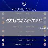 拉波特尼奇VS佩里斯特