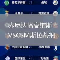 赤尼達塔高維斯VSCSM斯拉蒂納