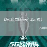 斯維德尼贊卡VS塔爾努夫