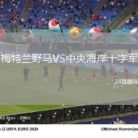 梅特蘭野馬VS中央海岸十字軍