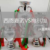西恩夏諾VS梅爾加