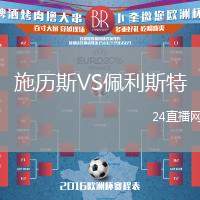 施歷斯VS佩利斯特