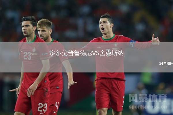 多爾戈普魯德尼VS舍克斯納