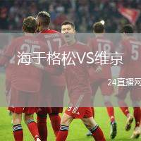 海于格松VS維京
