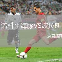 諾科平海豚VS波拉斯