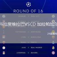 科拉度維拉巴VSCD 加拉帕加爾
