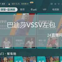 巴迪莎VSSV左包