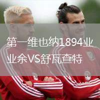 第一維也納1894業(yè)余VS舒瓦查特