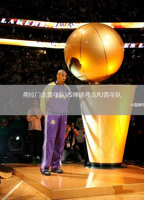 弗拉門戈青年隊(duì)VS博塔弗戈RJ青年隊(duì)