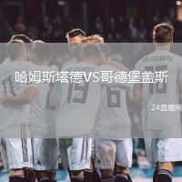 哈姆斯塔德VS哥德堡蓋斯