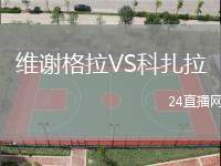 維謝格拉VS科扎拉