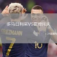 多馬日利采VS霍穆托夫