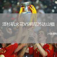 洛杉磯火花VS明尼蘇達山貓