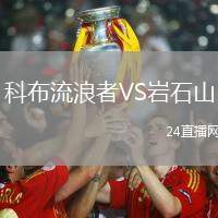 科布流浪者VS巖石山