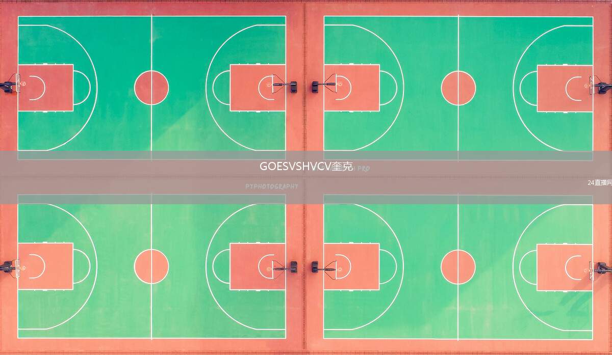 GOESVSHVCV奎克