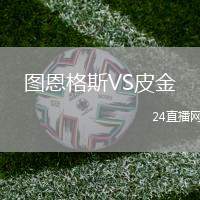 圖恩格斯VS皮金