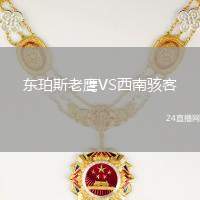 東珀斯老鷹VS西南駭客