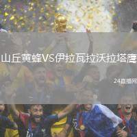 山丘黃蜂VS伊拉瓦拉沃拉塔鷹