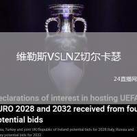 維勒斯VSLNZ切爾卡瑟