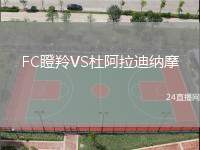 FC瞪羚VS杜阿拉迪納摩