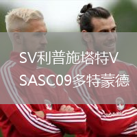 SV利普施塔特VSASC09多特蒙德