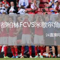 都柏林FCVS米歇爾角