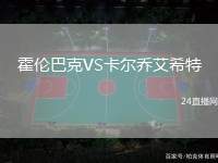 霍倫巴克VS卡爾喬艾希特