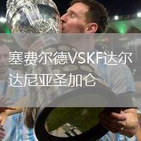 塞費爾德VSKF達爾達尼亞圣加侖