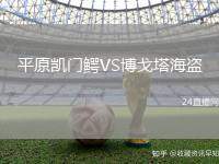 平原凱門鱷VS博戈塔海盜