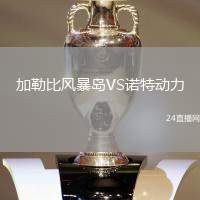 加勒比風(fēng)暴島VS諾特動力